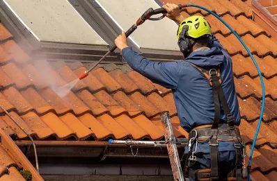 Démoussage et hydrofuge de toiture à Wanquetin